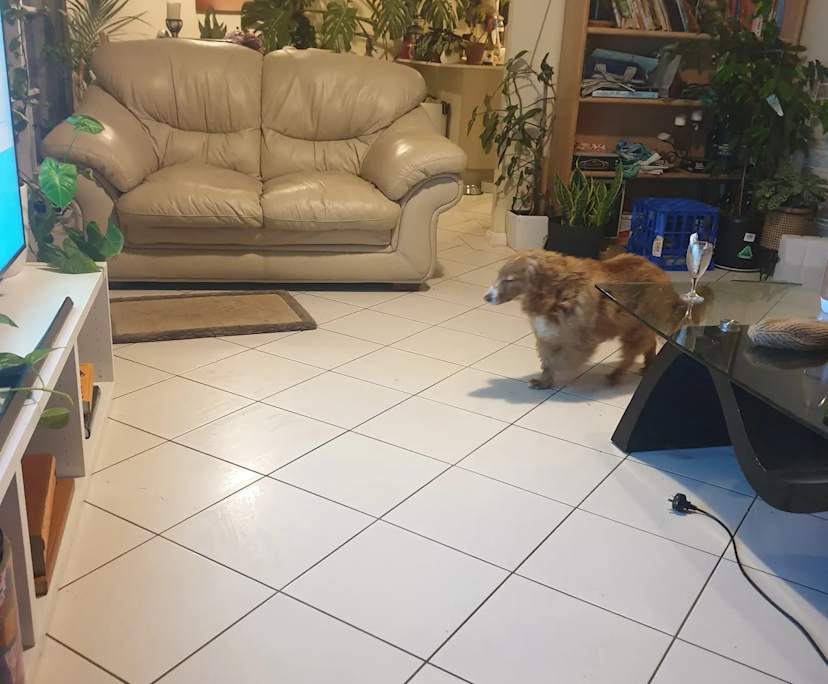 $220, Share-house, 3 bathrooms, Dickson ACT 2602