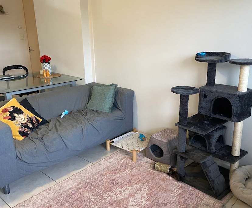 Furnished room in a flatshare