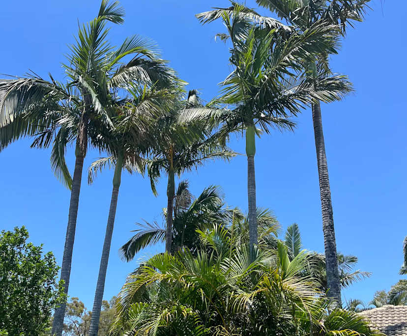 Whole property with 2 rooms for rent