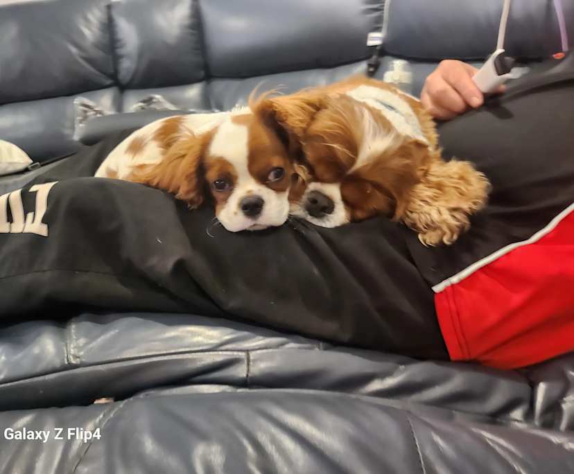 $285, Share-house, 5 bathrooms, Wonthaggi VIC 3995