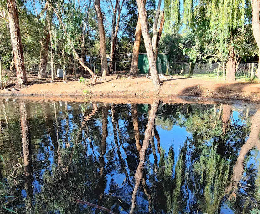 $250, Share-house, 5 bathrooms, Nairne SA 5252