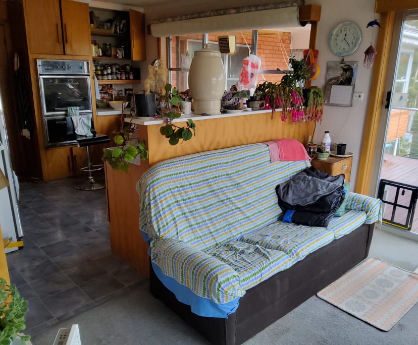 Room in a share house
