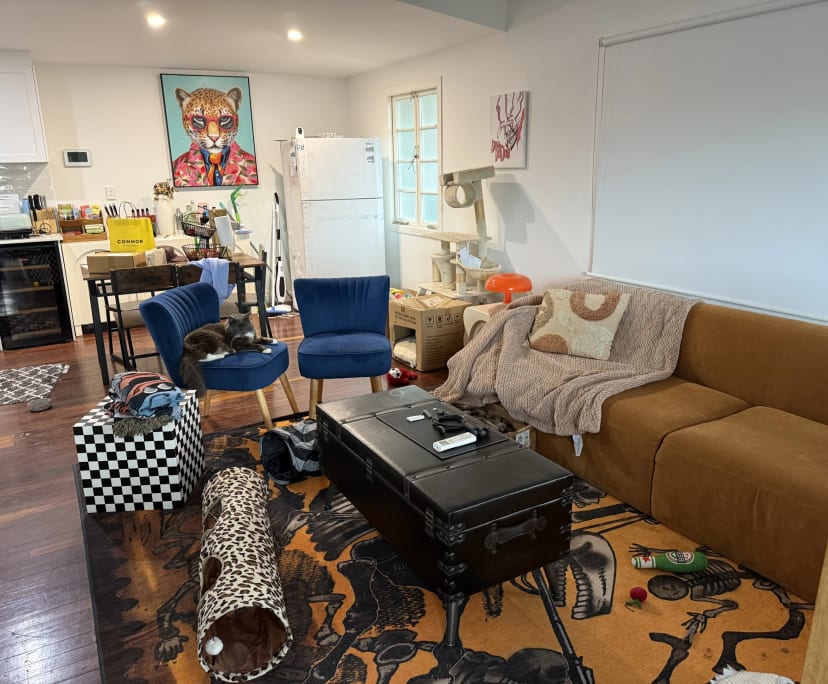 Furnished room with own bathroom