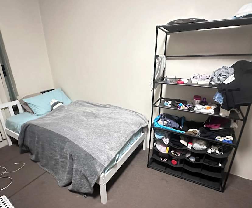 $260, Flatshare, 3 bathrooms, Pyrmont NSW 2009