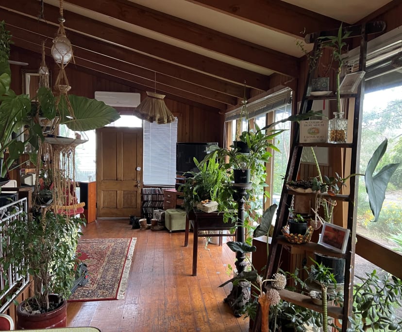 Room in a share house
