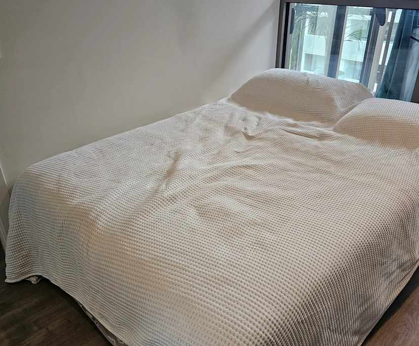 $950, Whole-property, 2 bathrooms, Caulfield North VIC 3161