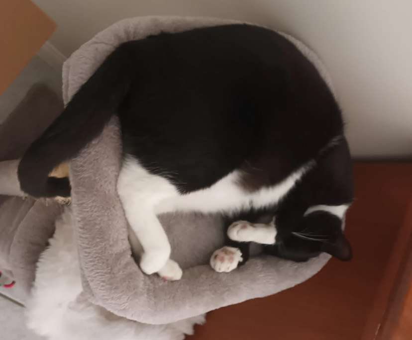 $235, Share-house, 4 bathrooms, Douglas QLD 4814