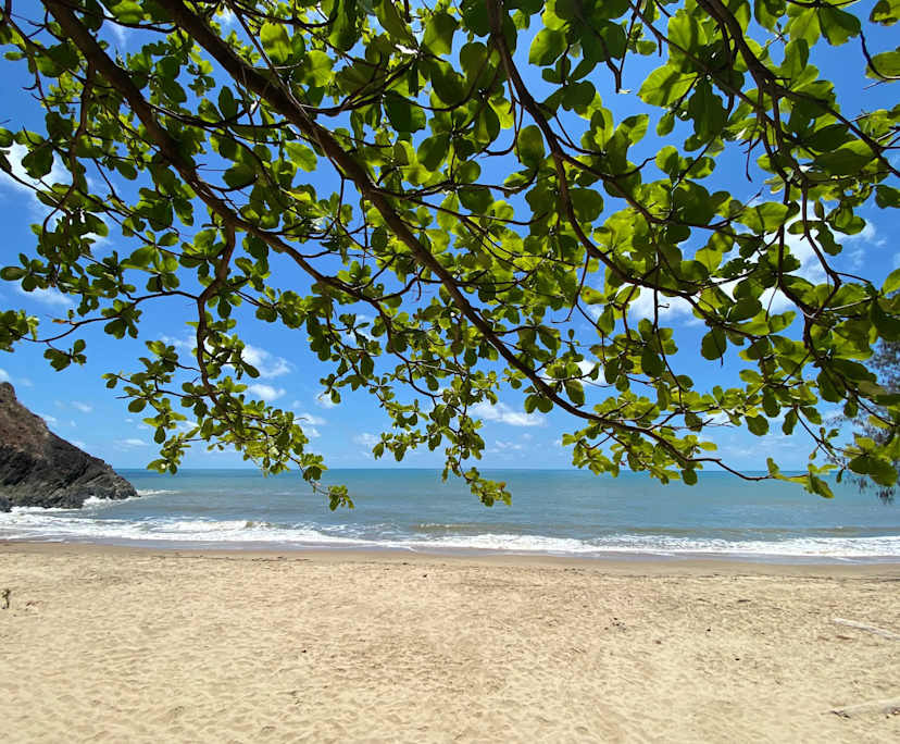 $250, Flatshare, 3 bathrooms, Yorkeys Knob QLD 4878