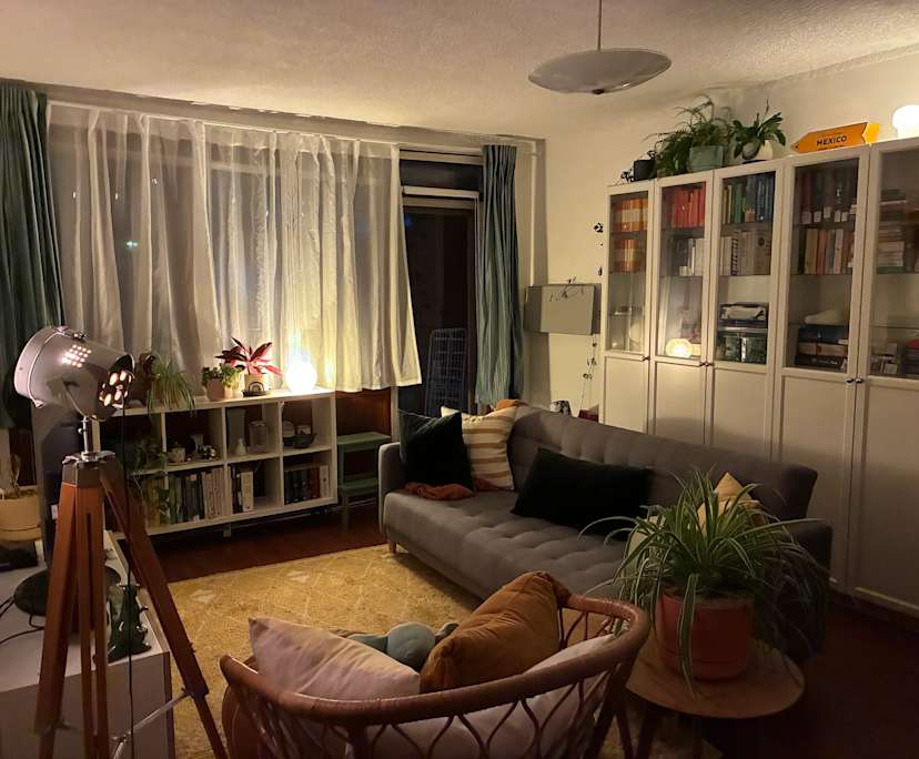 $295, Flatshare, 2 bathrooms, Ashfield NSW 2131