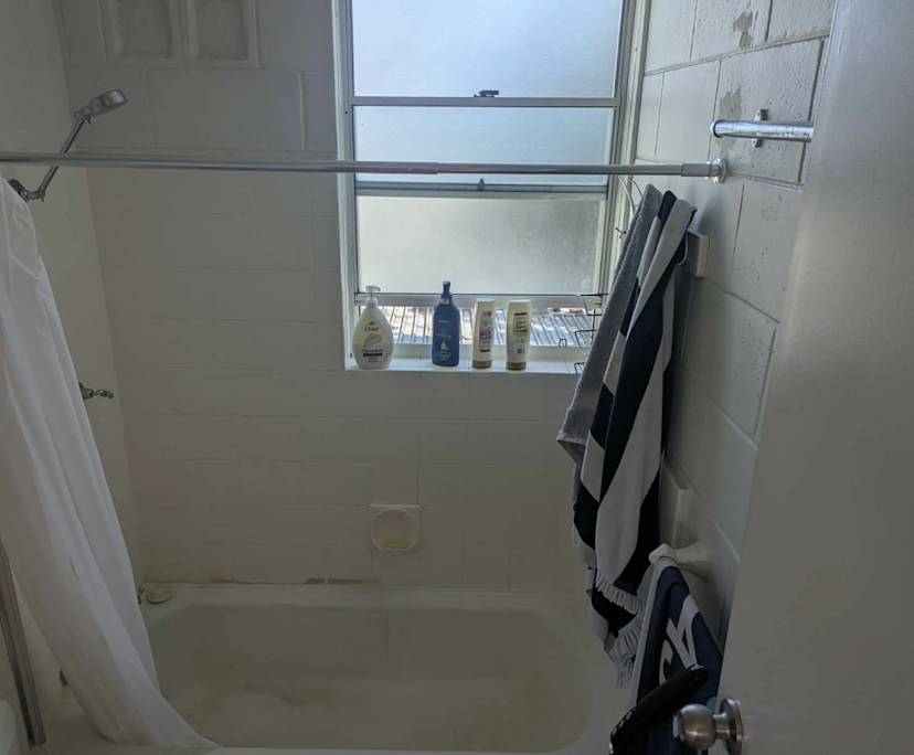 $325, Flatshare, 2 bathrooms, Brookvale NSW 2100