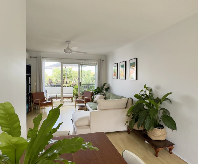 Whole property with 2 rooms for rent