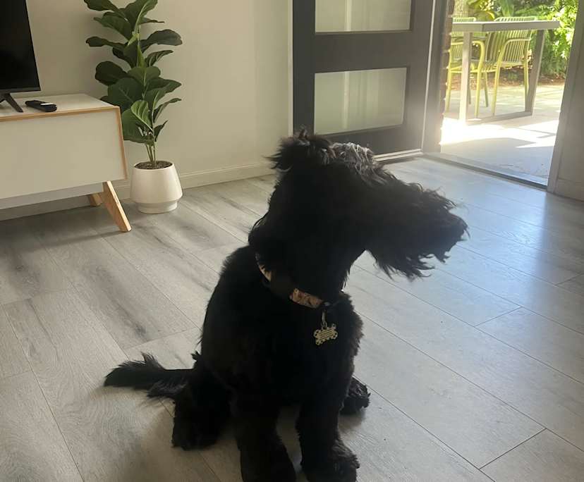 $267, Share-house, 3 bathrooms, Maroochydore QLD 4558