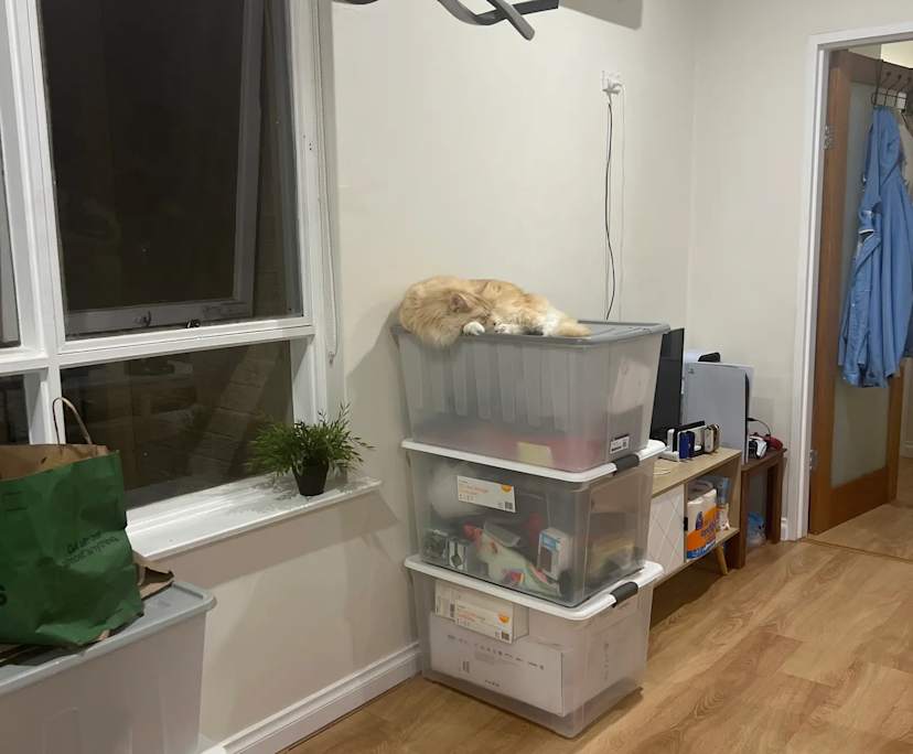 Unfurnished room in a flatshare