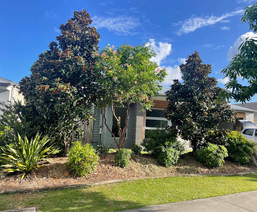 Room in a share house