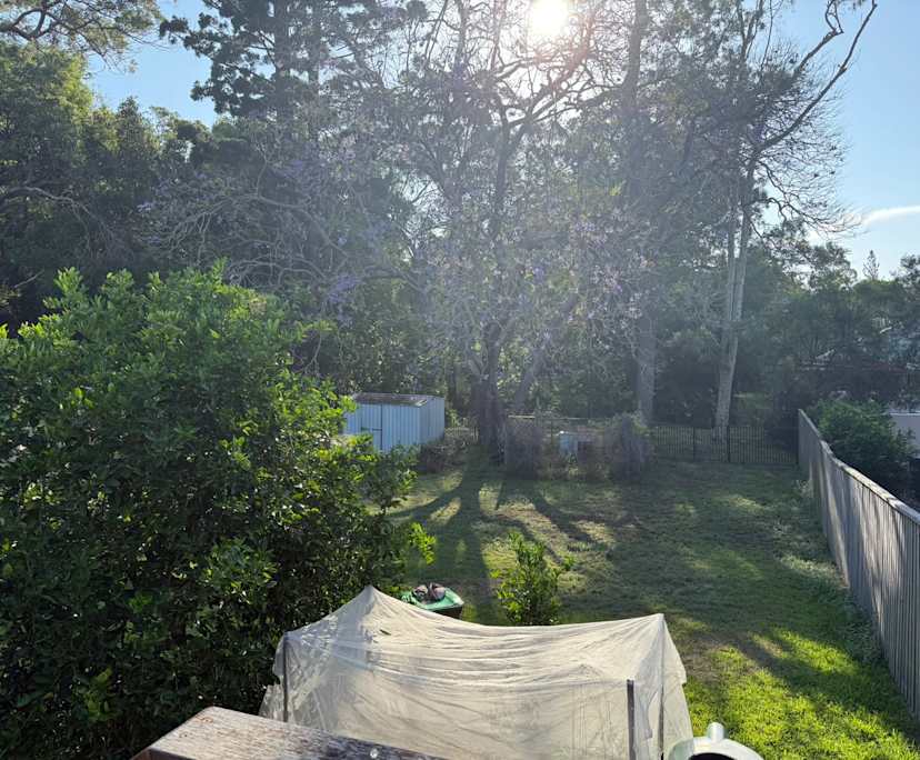 Unfurnished room in a share house