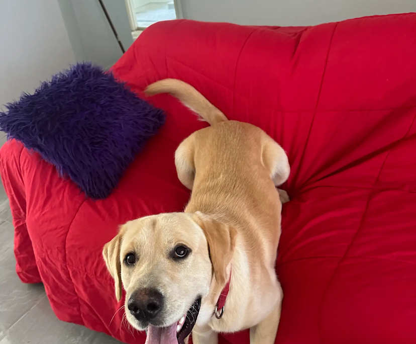 $350, Share-house, 3 bathrooms, Beenleigh QLD 4207