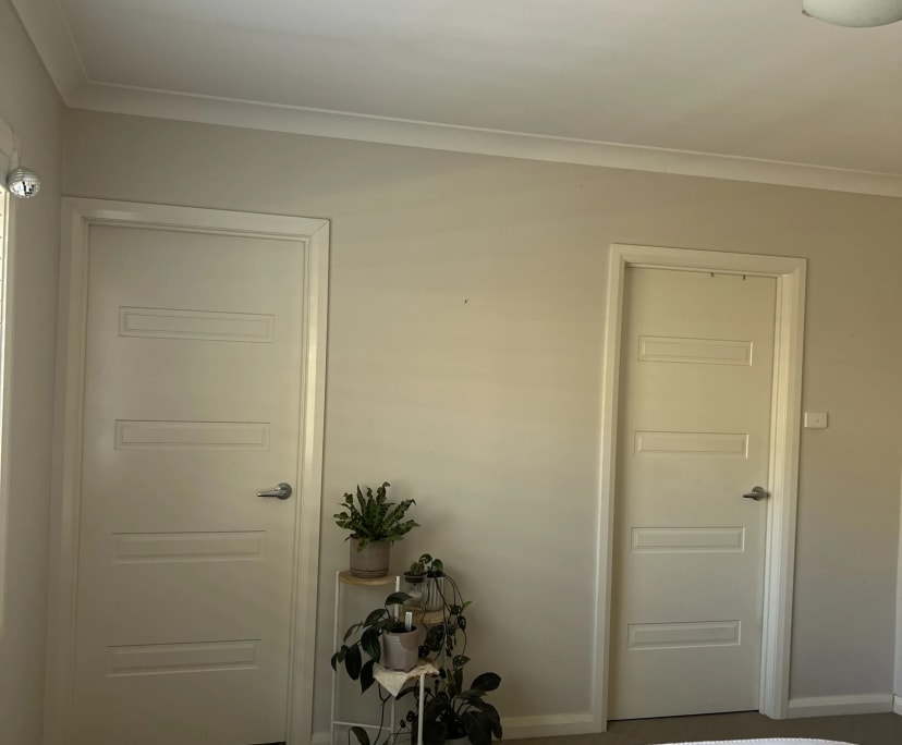 Room in a share house