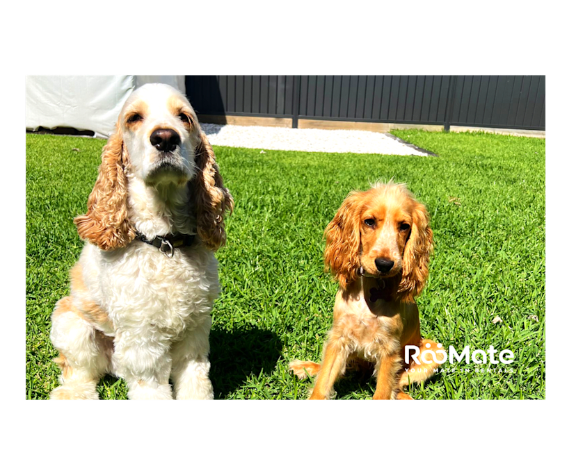 $250, Share-house, 4 bathrooms, Hemmant QLD 4174