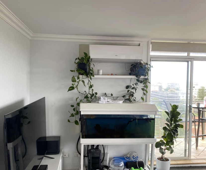 Room for Rent in Cronulla, Sydney 320, Furnished,...