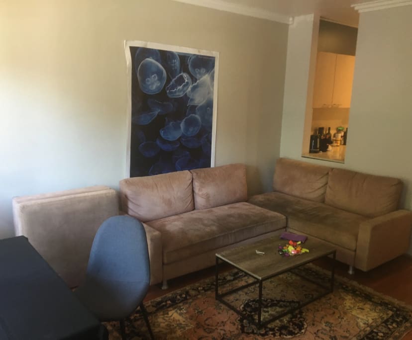 $380, Share-house, 4 bathrooms, Newtown NSW 2042