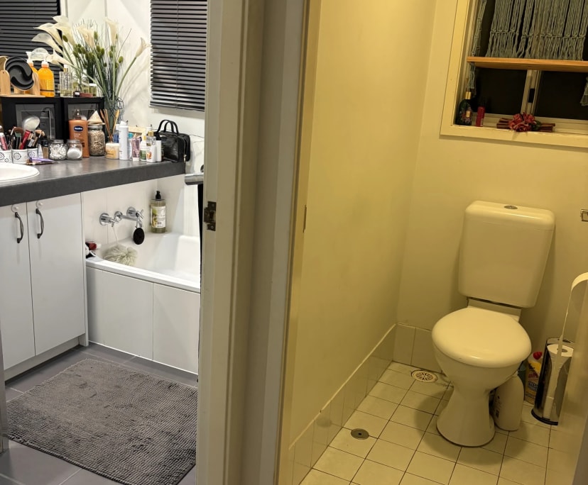 $250, Share-house, 4 bathrooms, Darlington NSW 2330
