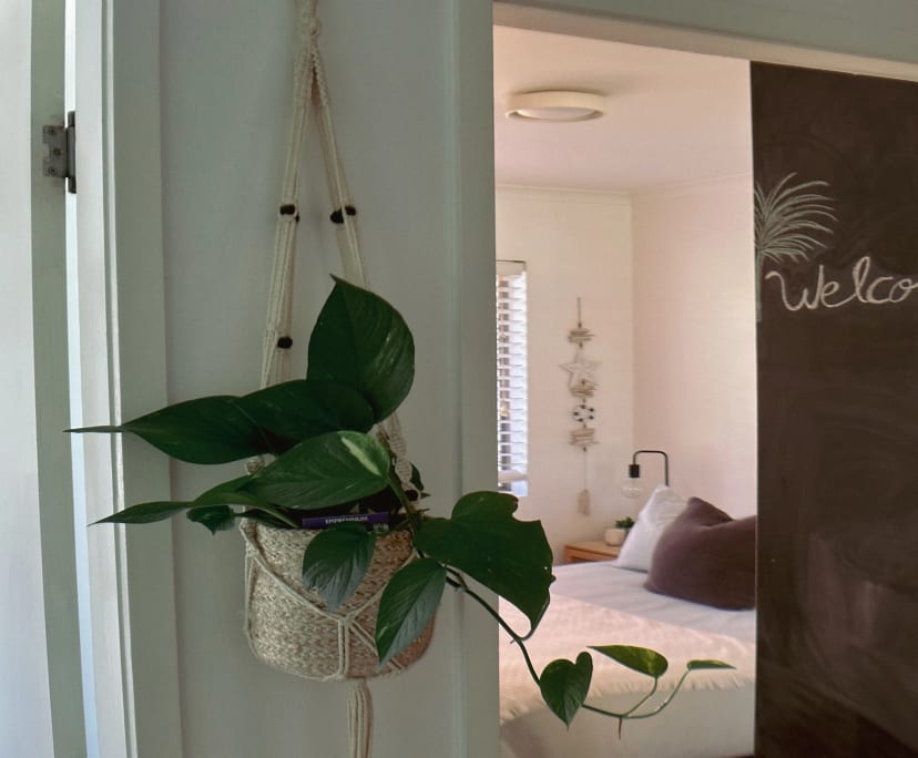 $1,300, Whole-property, 2 bathrooms, Coolangatta QLD 4225