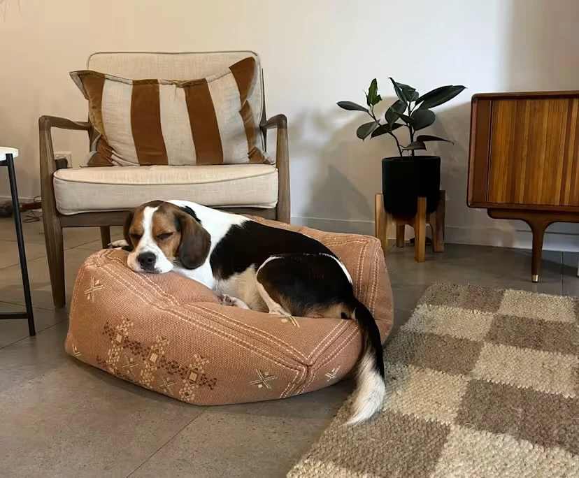 $350, Share-house, 3 bathrooms, Robina QLD 4226