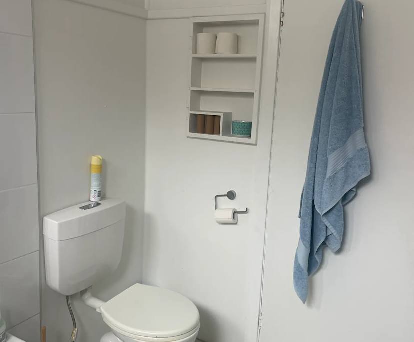 $200, Share-house, 3 bathrooms, Mayfield NSW 2304