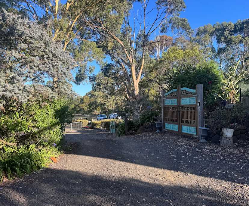 $300, Share-house, 3 bathrooms, Drysdale VIC 3222