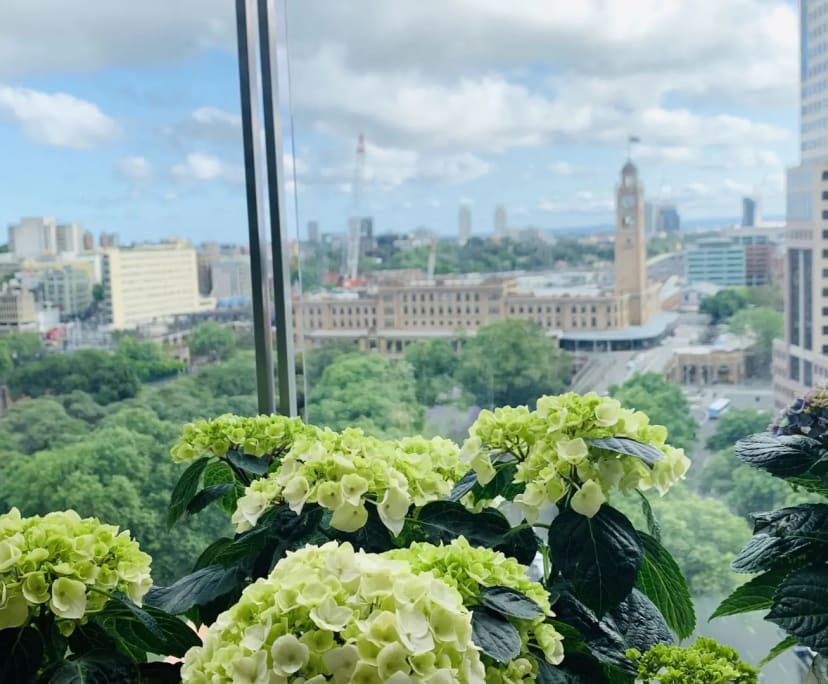 $700, Flatshare, 2 bathrooms, Haymarket NSW 2000