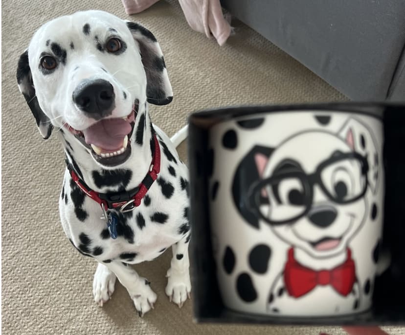 $360, Flatshare, 3 bathrooms, Surfers Paradise QLD 4217