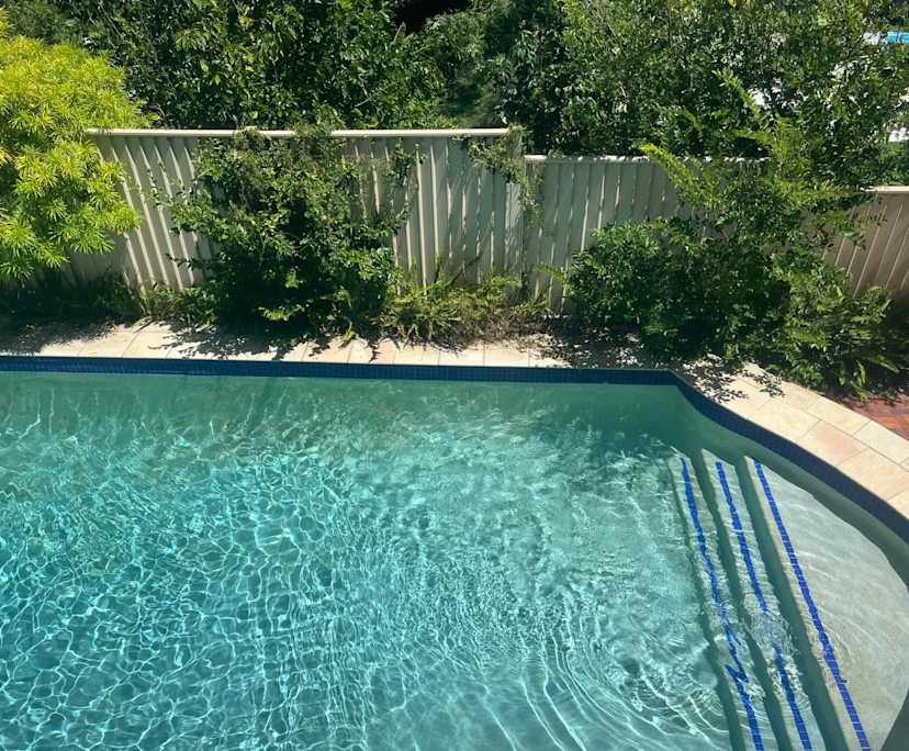 $310, Flatshare, 2 bathrooms, East Brisbane QLD 4169