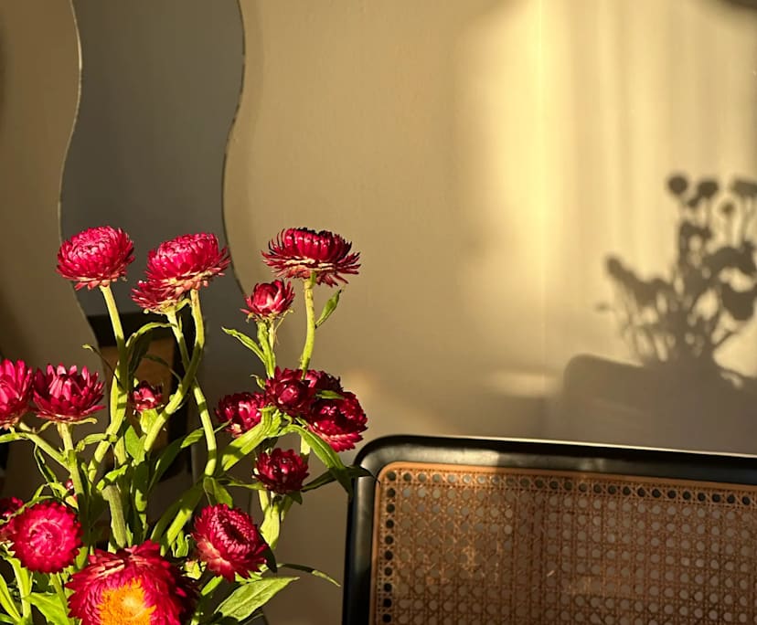 $400, Flatshare, 3 bathrooms, North Bondi NSW 2026