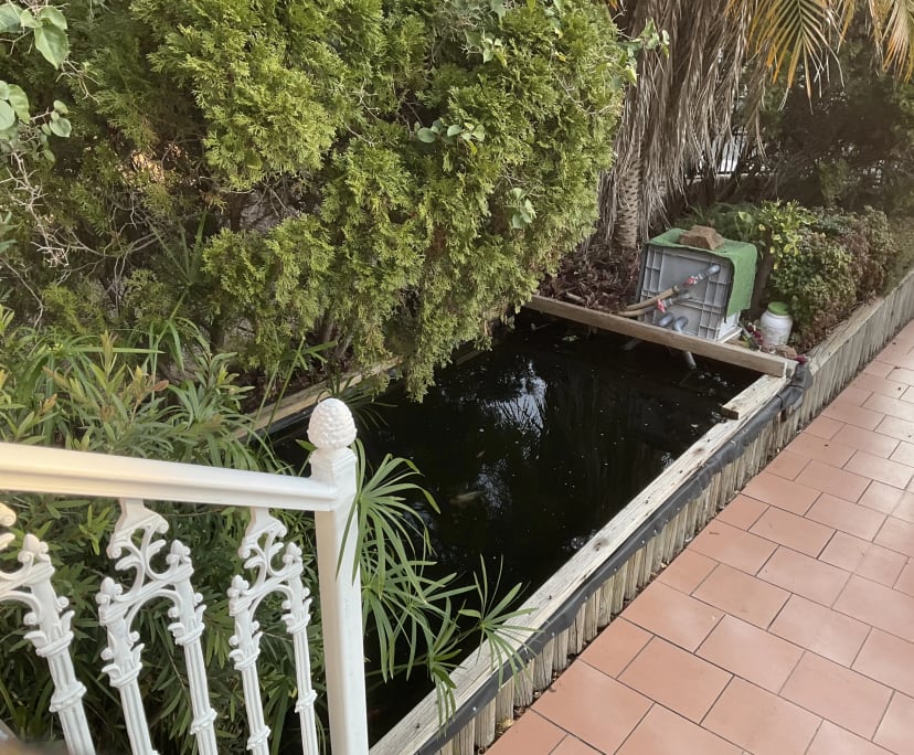 $380, Share-house, 5 bathrooms, Earlwood NSW 2206