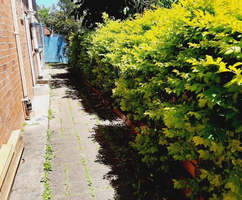 $300, Flatshare, 1 bathroom, Indooroopilly QLD 4068