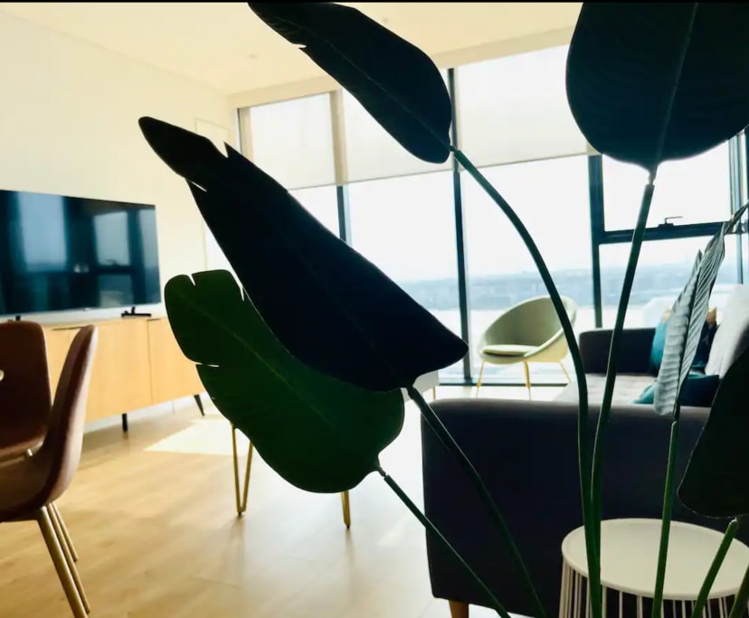 $550-800, Student-accommodation, 3 rooms, Rhodes NSW 2138, Rhodes NSW 2138