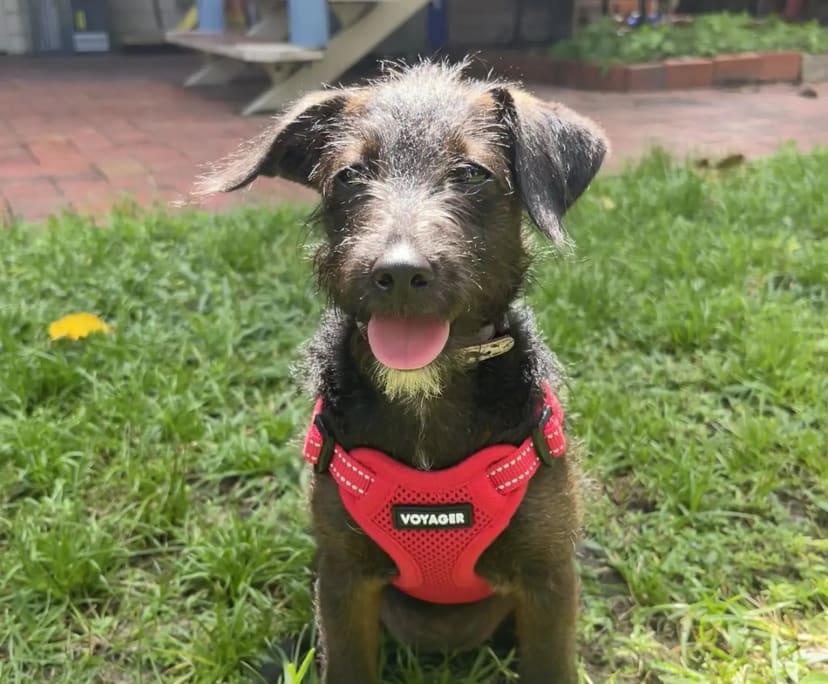 $240, Share-house, 4 bathrooms, Agnes Water QLD 4677