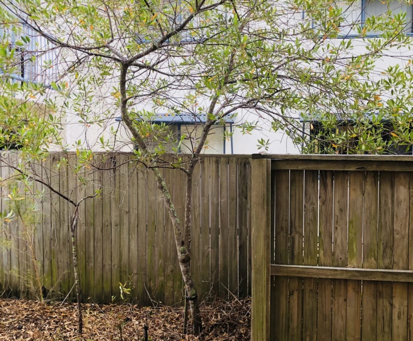 $255, Student-accommodation, 4 bathrooms, Sippy Downs QLD 4556