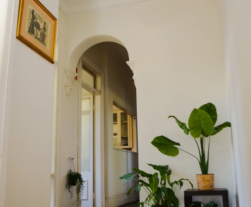 $345, Share-house, 6 bathrooms, Rozelle NSW 2039