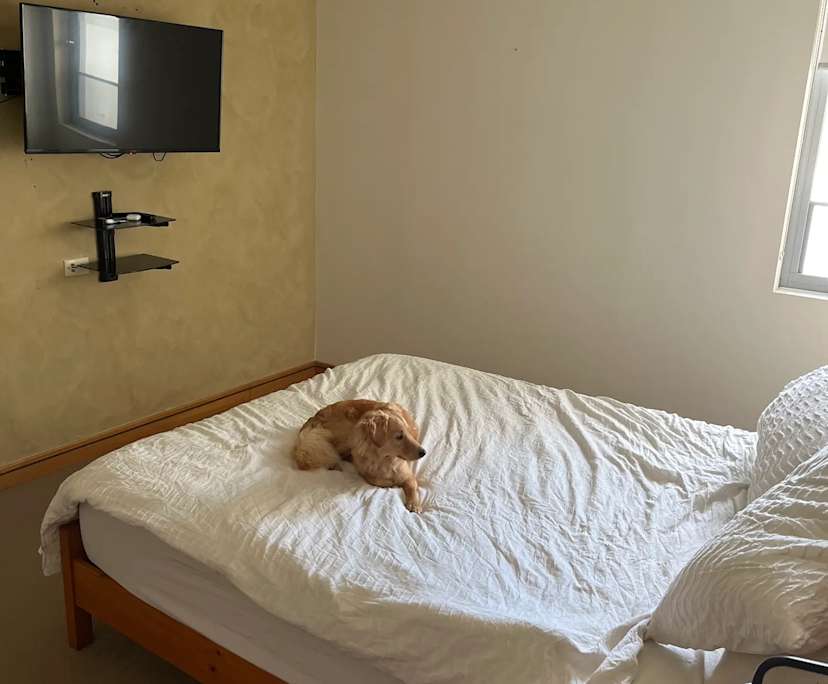 $550, Flatshare, 3 bathrooms, Cronulla NSW 2230