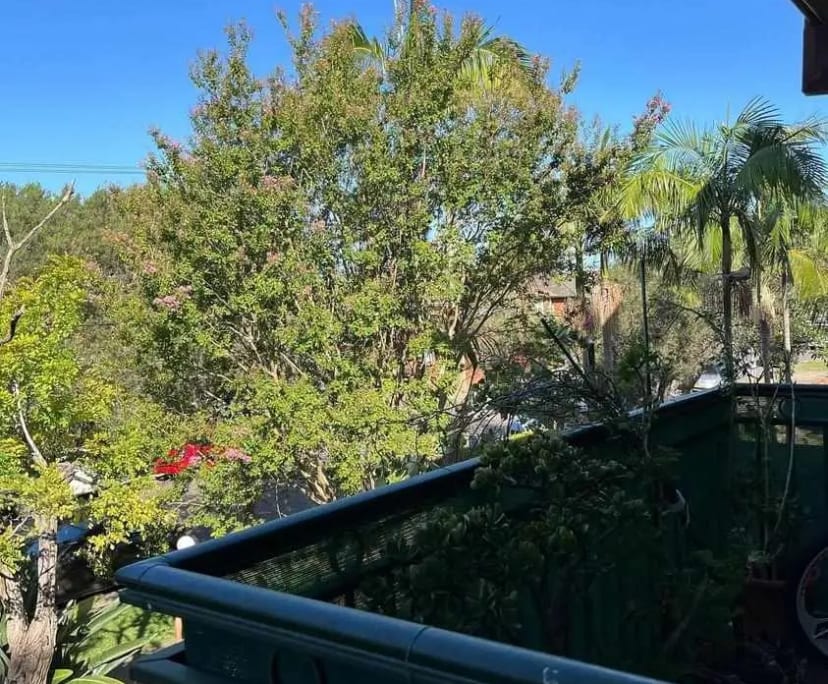 $335-450, Share-house, 2 rooms, Campsie NSW 2194, Campsie NSW 2194