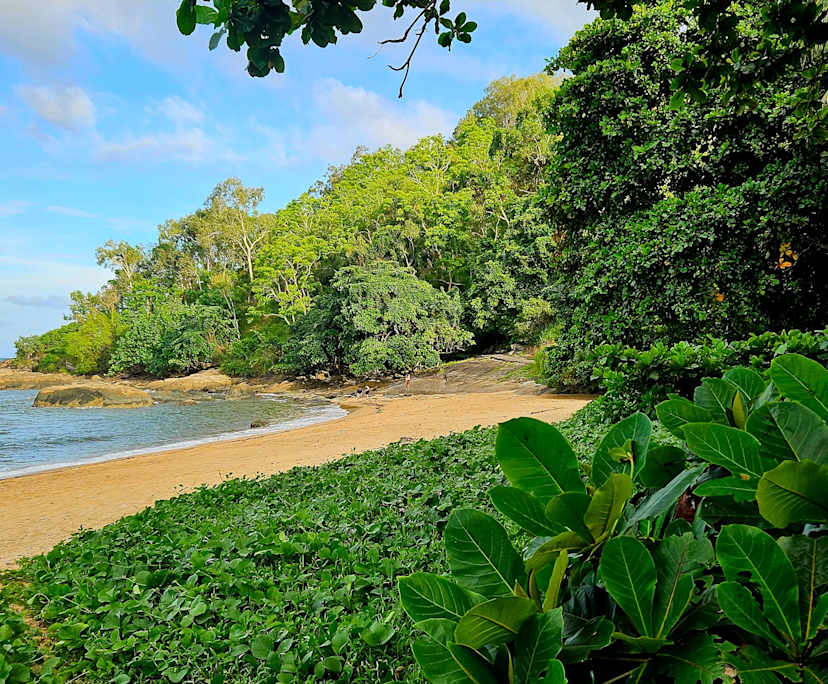 $260, Flatshare, 3 bathrooms, Trinity Beach QLD 4879