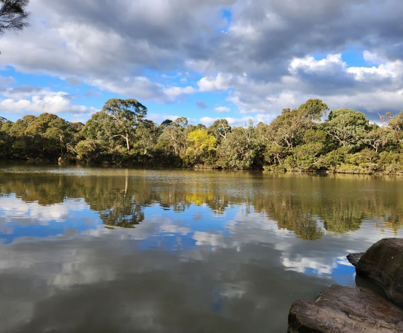 $310-390, Share-house, 2 rooms, Blackburn VIC 3130, Blackburn VIC 3130