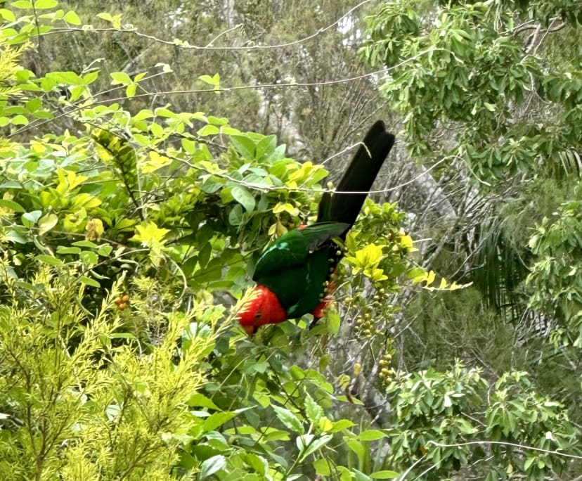 $280, Share-house, 2 rooms, Tewantin QLD 4565, Tewantin QLD 4565