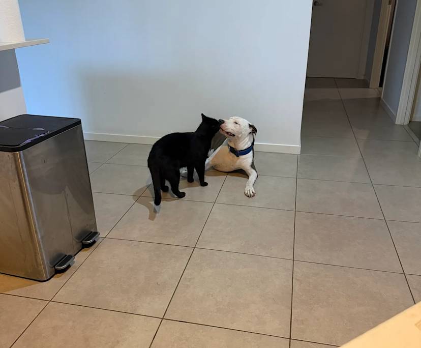 Unfurnished room in a share house