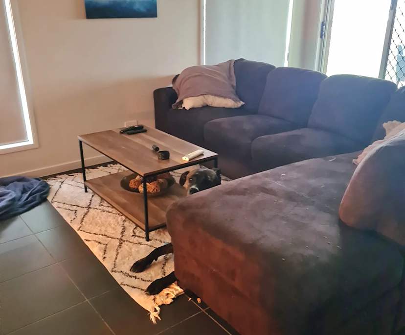 $300, Share-house, 3 bathrooms, Beaudesert QLD 4285