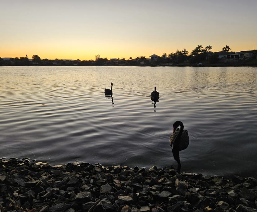 $500, Share-house, 2 bathrooms, Burleigh Waters QLD 4220