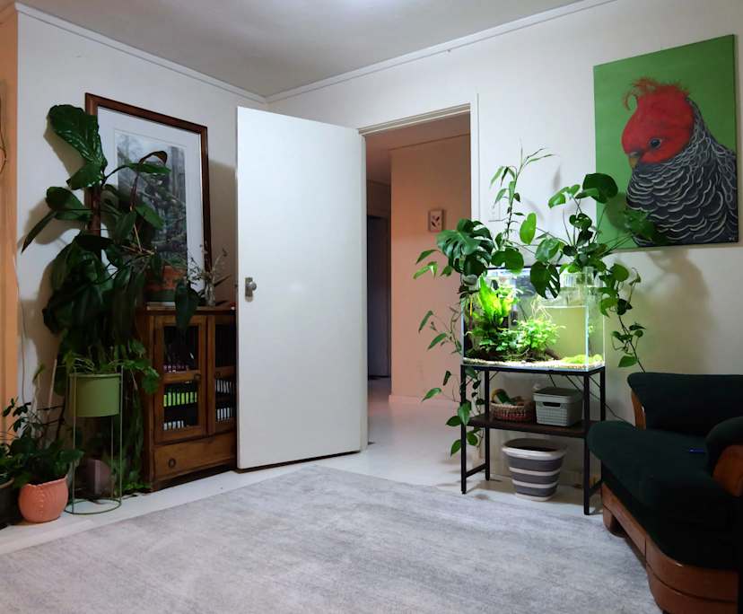 $250, Share-house, 3 bathrooms, O'Connor ACT 2602