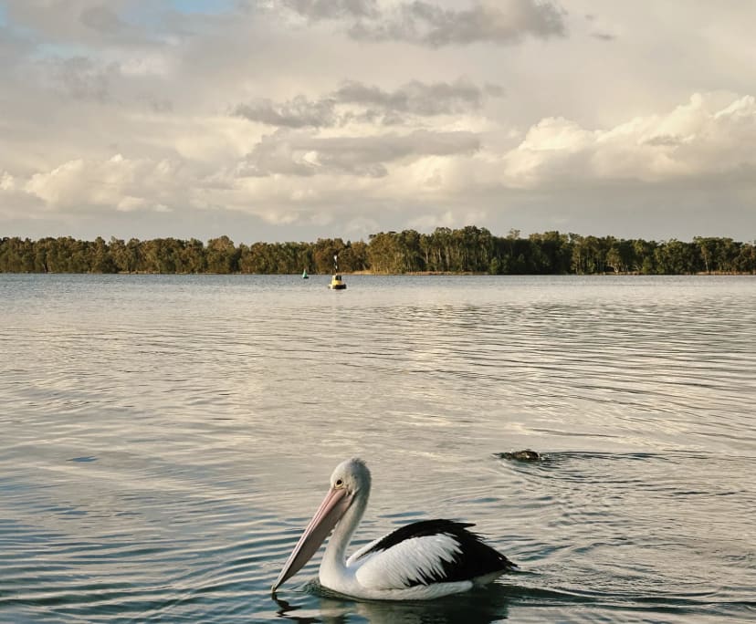propertyImage