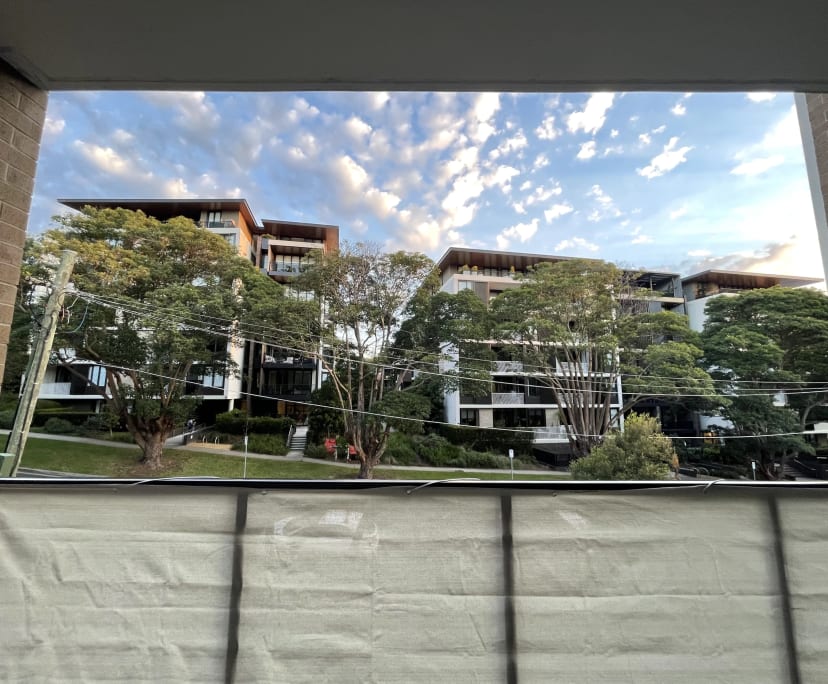 Whole property with 2 rooms for rent